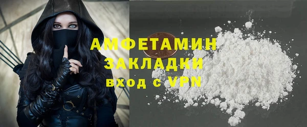 бошки Бронницы