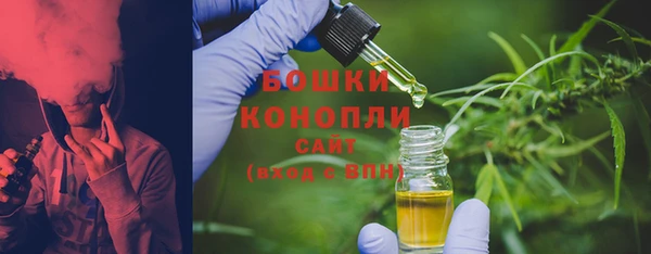 бошки Бронницы