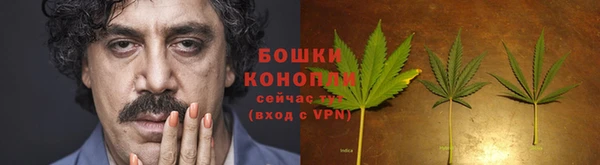 сатива Володарск