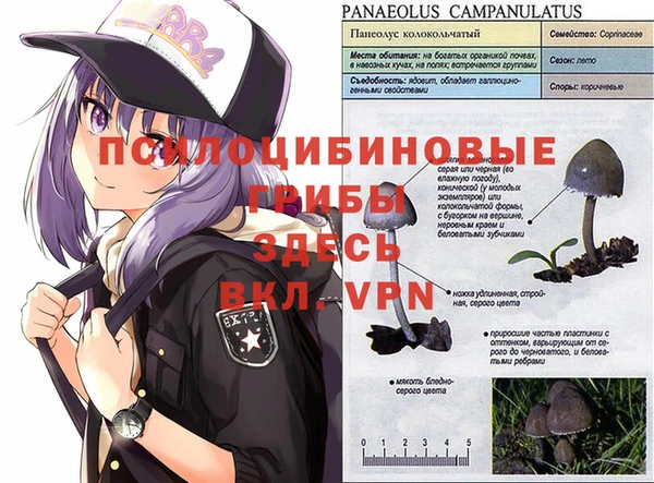 соль ск Бугульма