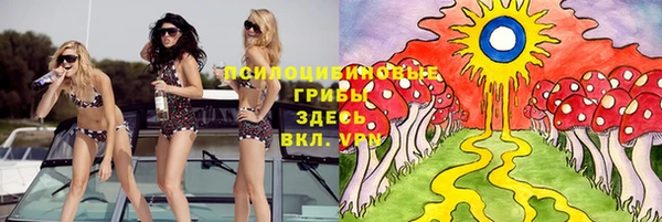 ALPHA PVP Бородино