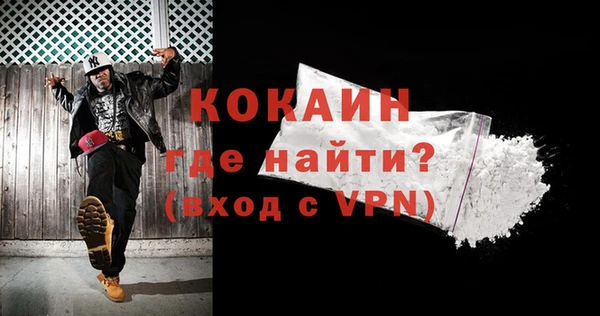бошки Бронницы