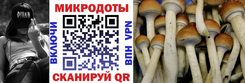 omg как зайти  Калязин  Галлюциногенные грибы GOLDEN TEACHER 